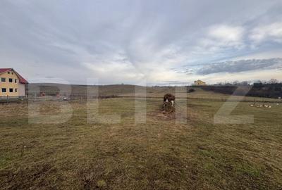 Teren Intravilan 2800 mp, zona Sieu Sfantu - 2