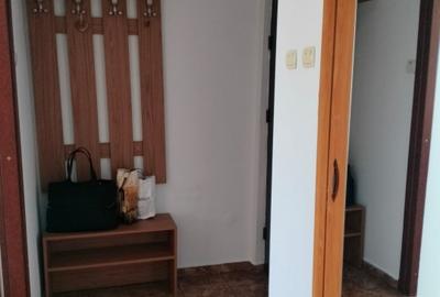 Apartament cu 2 camere semidecomandat, mobilat în Podu Roș - 8