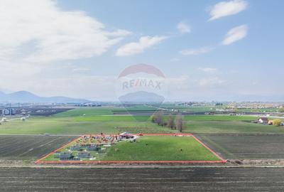Teren Construcții intravilan de 13300 mp, în Bartolomeu - 8
