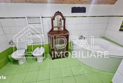 Casă cu 4 camere în Câineni - 4