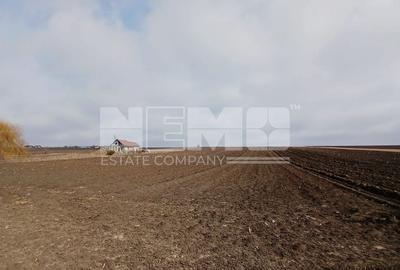 Teren Moara, Suceava I 77 ARI I Preț 2.500 euro/ar - 1