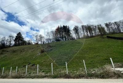 Teren generos, dar ieftin, in Namae?ti - Arge? - 4