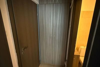 Apartament cu 2 camere semidecomandat, mobilat în Iancului - 8