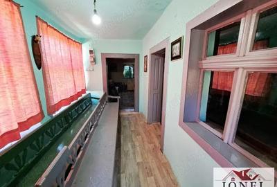 Casa de vanzare cu 46774 mp teren in zona Vintu de Jos - 11