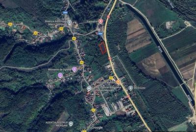 Teren Construcții intravilan de 5000 mp, în Merișani - 2