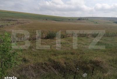 Teren de 30000 mp, în Dumești - 1