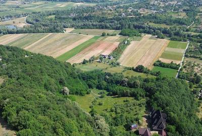CASTEL de Vanzare in Berchezoaia MaramuresOaza de Lini... - 9