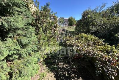 Casa cu 4 camere de inchiriat in zona Hasdeu, langa UMF - 7