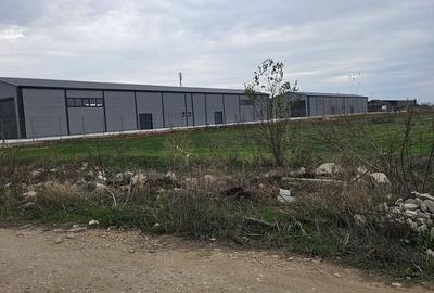 2 hale noi 2025 Magurele ( Constructoriilor ) - 2