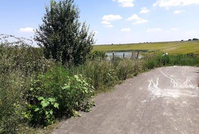 Teren extravilan de 6314 mp, în Belciugatele - 1