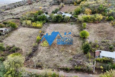 Teren de 3044 mp, în Niculițel - 12