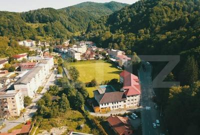 Proprietate de cazare, spatii comerciale, Lugoj - 1