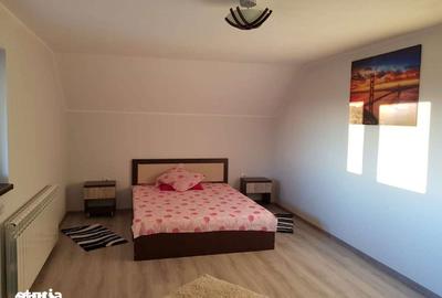 Casă cu 3 camere cu Teren 3000 Mp în Slătioara - 11