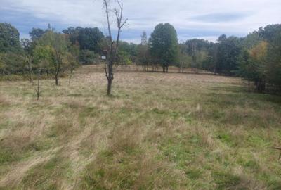 Teren 15826 mp + padure 1 ha - 3