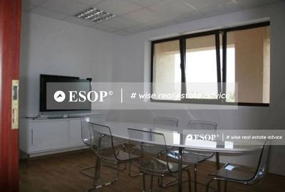 Spațiu comercial, de 150 mp, în Domenii - 6