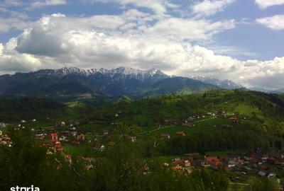 Teren de 25000 mp, în Moieciu - 7