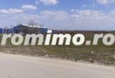 Teren de 38000 mp, în 1 Decembrie - 2