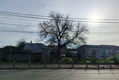 Teren 493mp Constan?a - 5