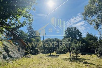 TEREN INTRAVILAN 3234 MP LERE?TI VOINE?TI ARGE? - 9