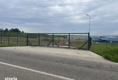 Teren de 3500 mp, în Bradu - 5
