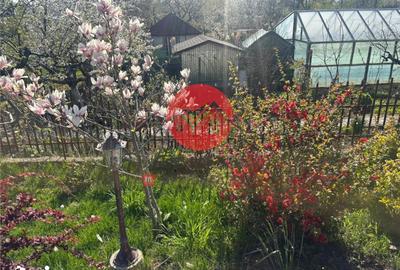 Spațiu comercial, de 336 mp, în Central - 14