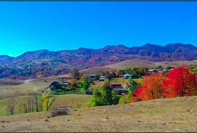Teren intravilan de Vanzare in Jitia ,Vrancea -ideal pentru casa !