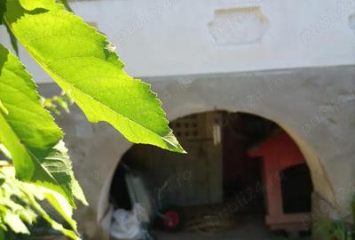 Casă cu 3 camere cu Teren 500 Mp în Dobrița - 1