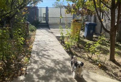 Casă cu 5 camere în Romanești - 2