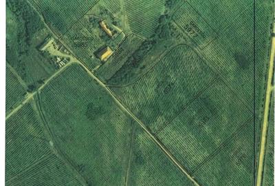 Teren de 62000 mp, în Breznița-Ocol - 1