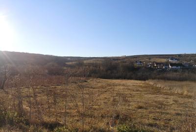 Spațiu comercial, în Uricani - 4