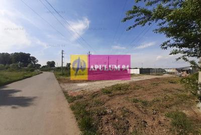 Teren construcție casă - 1 Decembrie - Zona Metropolitană București Teren construcție casă - 1 Decembrie - Zona Metropolitană București - 24