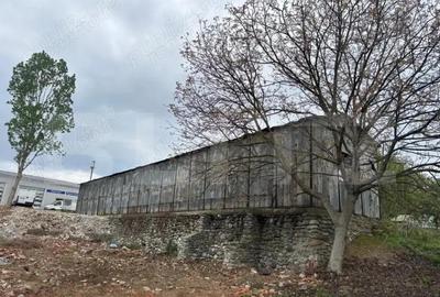 Doua hale industriale de vanzare, 390 mp + 216 mp, Calea Bucure?ti - 3