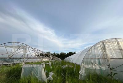 Teren par?ial intravilan 23.500 mp, apa, curent ?i suprav - 5