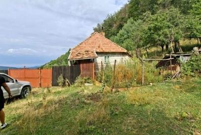 Casă cu 2 camere în Central - 7