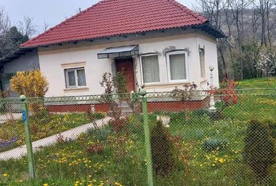 Casă individuală cu 2 camere cu Canalizare în Bogdănești (Oteșani) - 1