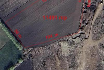 Teren pentru hala - Biharia - IMOBIHOR - 4