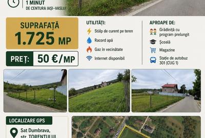 Spațiu comercial, în Ciurea - 3