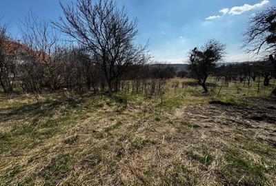 OPORTUNITATE! Teren intravilan, 9600 mp, zona Feleac - 4
