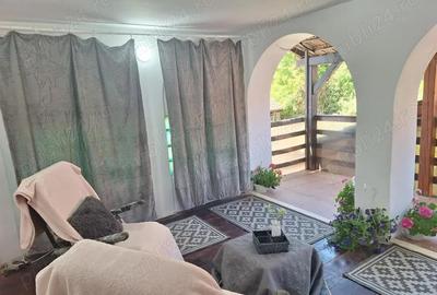 Zona centrala (la 5 minute de Centrul Vechi) - apartament in vila tip duplex, s.u. 120 mp, parter - 8