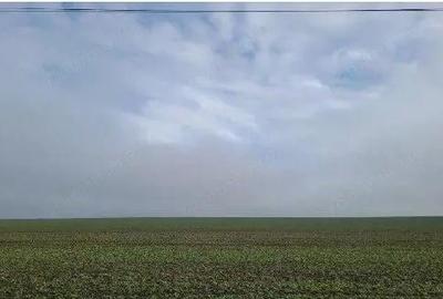 Teren extravilan Orbeasca, ID: R2836912 - 11