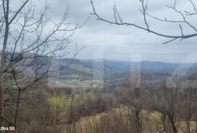 Teren în Schiulești - 7