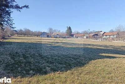 Teren de 4700 mp, în Brusturi - 4