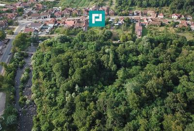 Teren Construcții intravilan de 13861 mp, în Est - 16