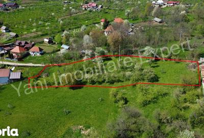 Teren de 2677 mp, în Valea Iașului - 10
