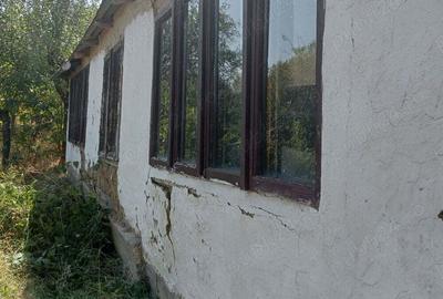 Casa batraneasca Greci 9000E - 5