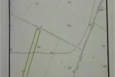 Teren de 12490 mp, în Catane - 2