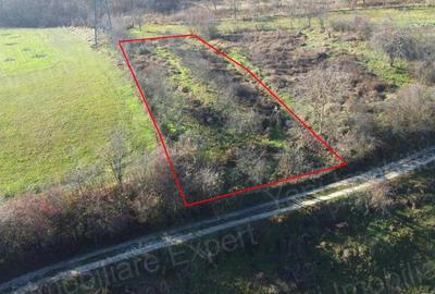 Teren de vanzare in Curtea de Arge?. - 1