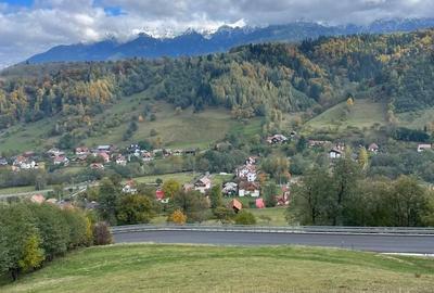 Teren extravilan cu priveliste catre Bucegi – Moieciu de Jos 4.700 mp - 12