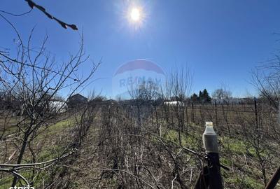 Casă cu 2 camere în Lipia - 7