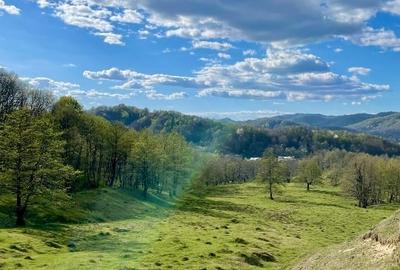 Cabana A frame situata la marginea padurii de foioase - 12